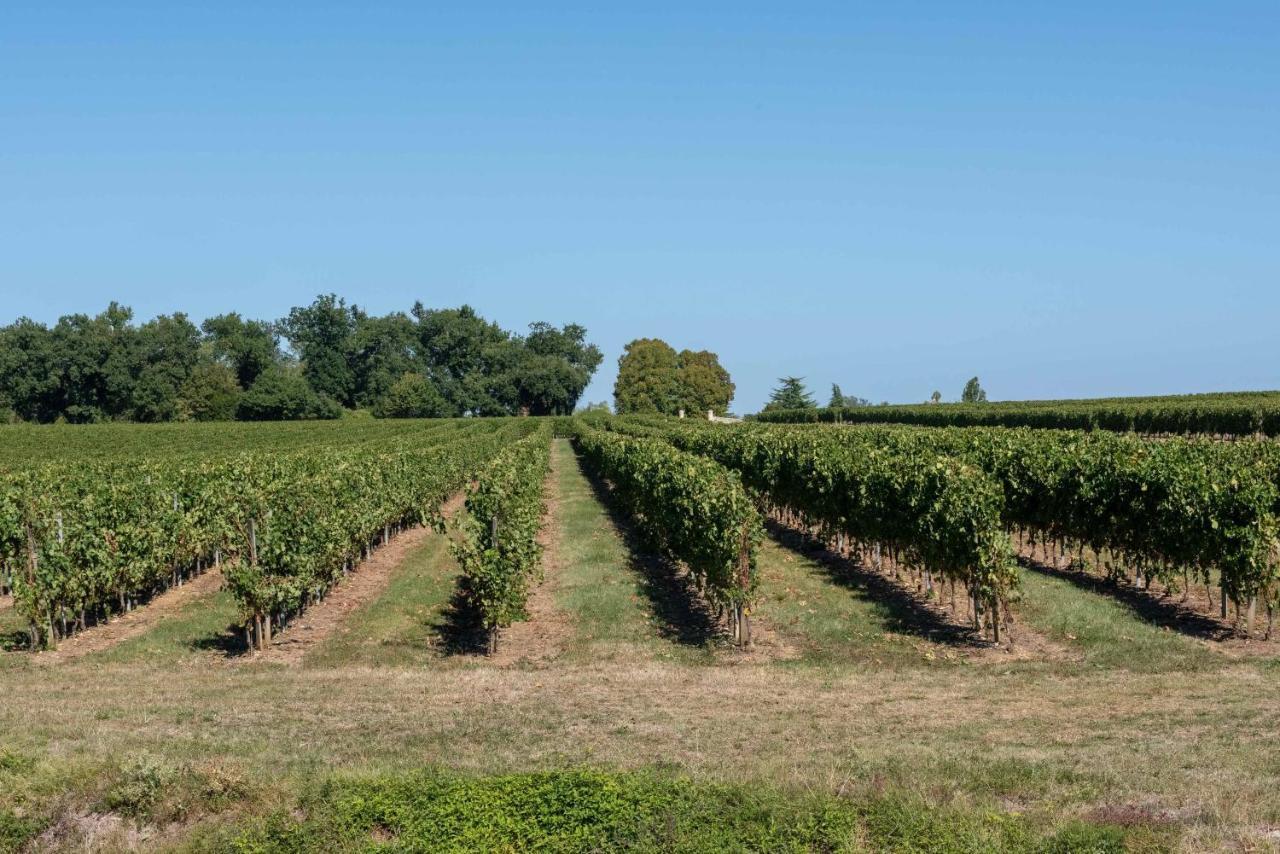 L'Ilot Vignes Bed & Breakfast Rauzan Exterior foto